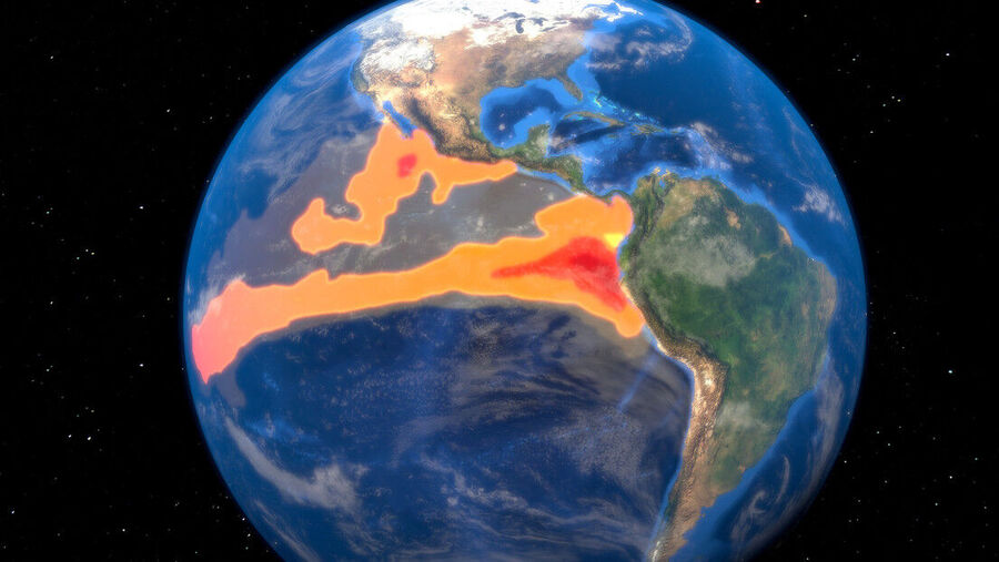 El niño