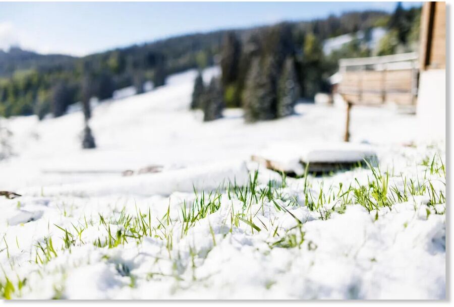 Summer hasn't started for everyone: where in Russia will frosts reach -5 and sleet fall?