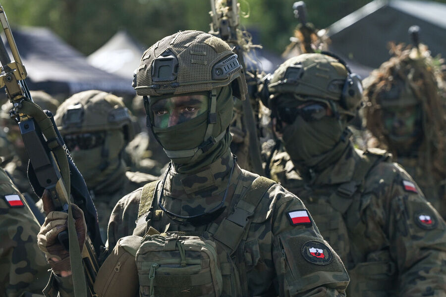 polish army