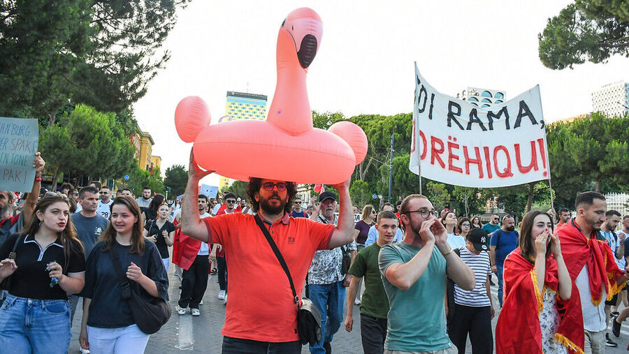 Flamingo protest