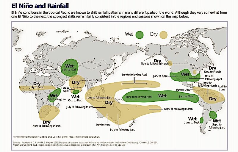 Global rain map
