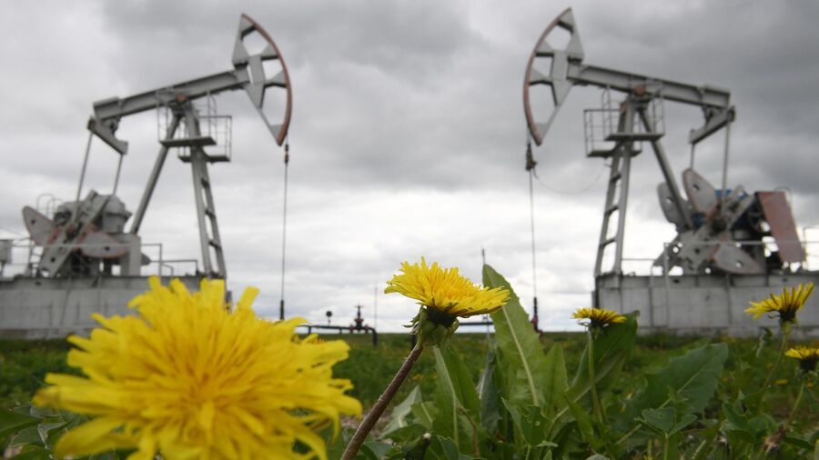 Petroleo