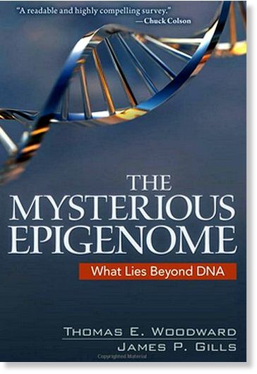 The Mysterious Epigenome