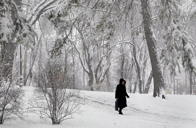 Nieve Ucrania 2