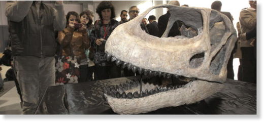 cráneo del dinosaurio