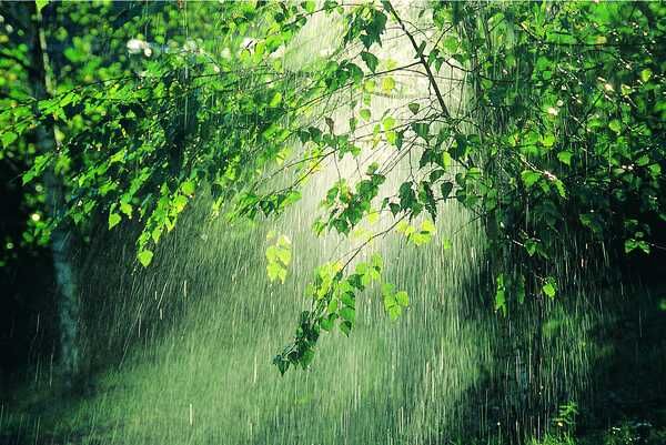 lluvia
