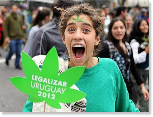 Estado uruguayo venderá marihuana