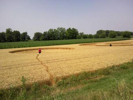 Crop Circle en Friuli1