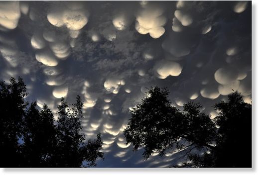 mammatus4