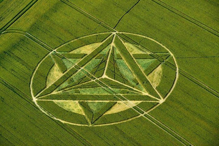 Crop Formations Divine
