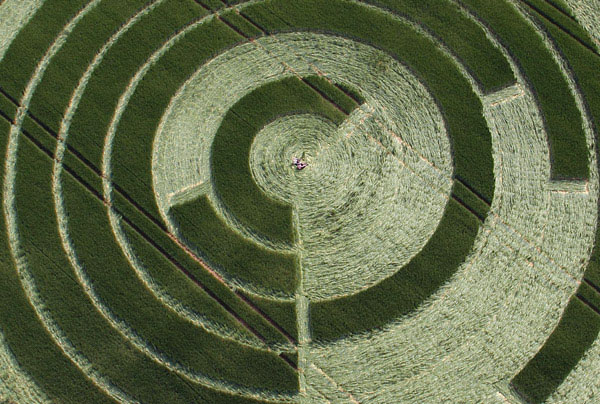 círculo de las cosechas en Inglaterra9