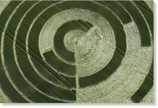 círculo de las cosechas en Inglaterra9