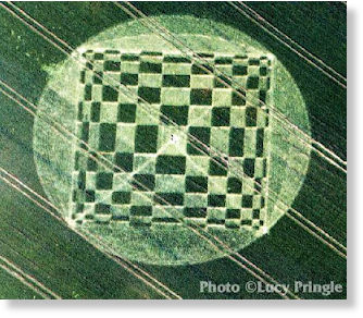El arte en los círculos de las cosechas6