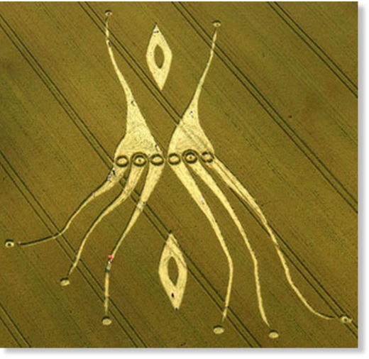 neuronas espejo crop circle1