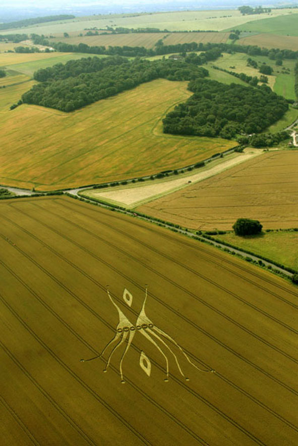 neuronas espejo crop circle2
