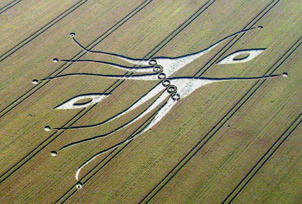 neuronas espejo crop circle3