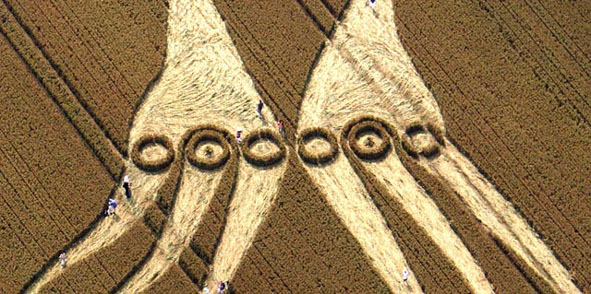 neuronas espejo crop circle4