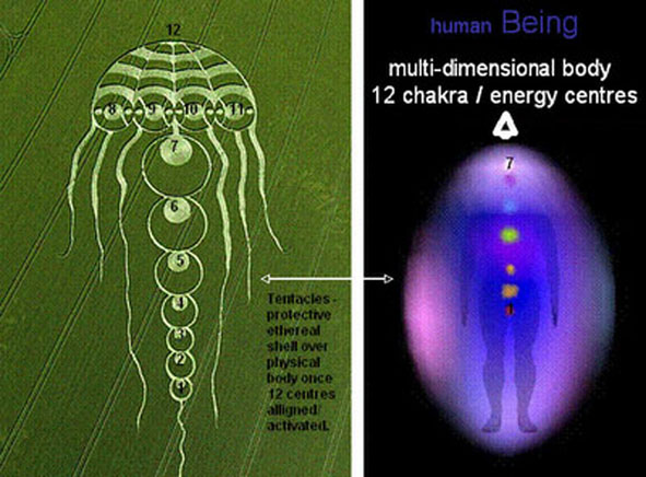 neuronas espejo crop circle5