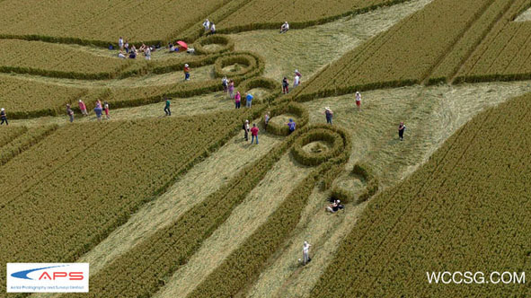 neuronas espejo crop circle6