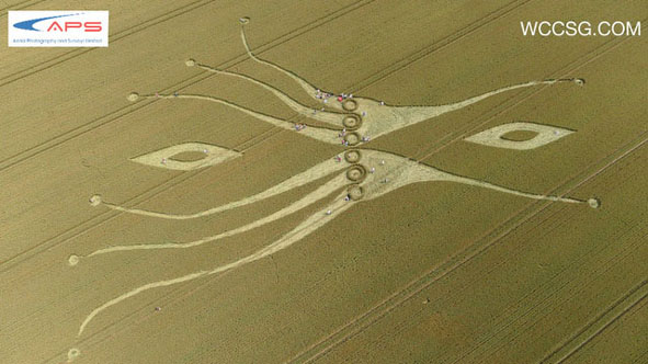 neuronas espejo crop circle7