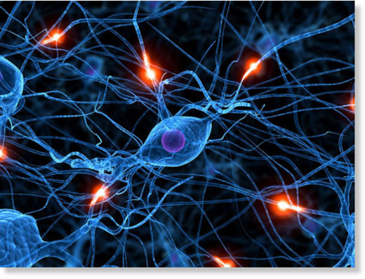 neuronas espejo crop circle8