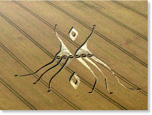 neuronas espejo crop circle9