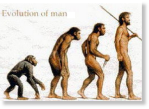 extinción del Homo Neandertal