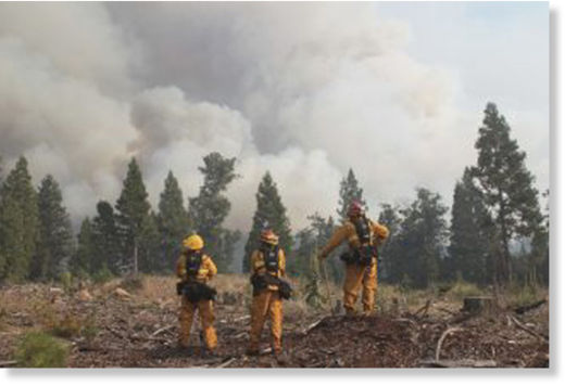 incendios forestales en California