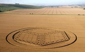 Crop Circle2