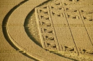 Crop Circle3