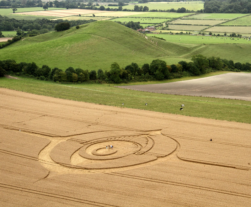 crop circle Wiltshire1