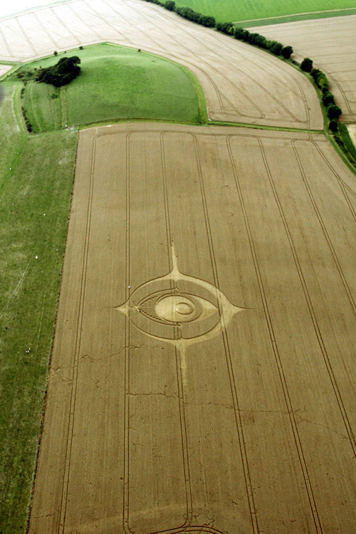 crop circle Wiltshire3