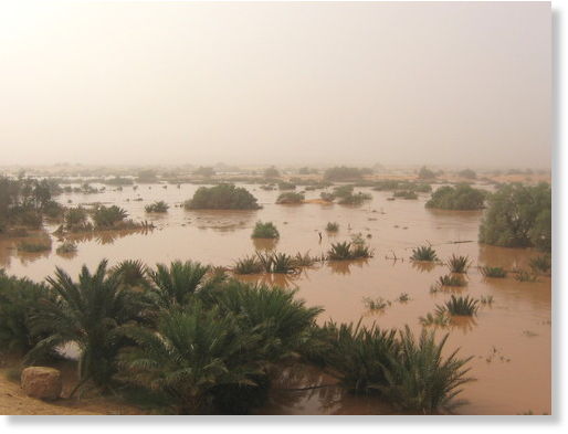 Argelia fuertes lluvias 2