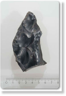 Homo heidelbergensis1