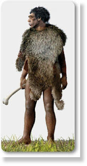 Homo heidelbergensis2