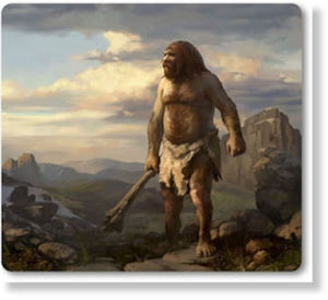 Homo heidelbergensis3