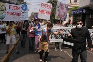 manifestación Ocupa Monsanto Paraguay