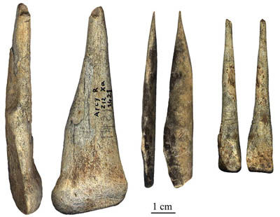 Clic para aumentar Neandertales2