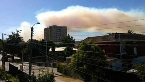 incendio forestal en Chile