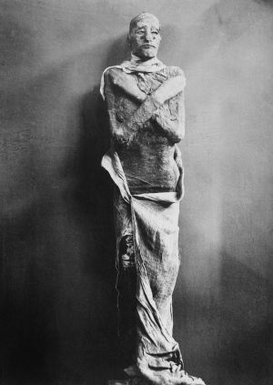 momia de Ramsés III