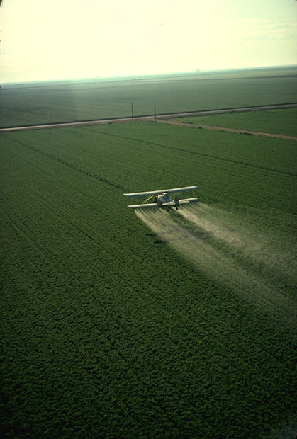 Avioneta vertiendo plaguicidas en cultivos. 
