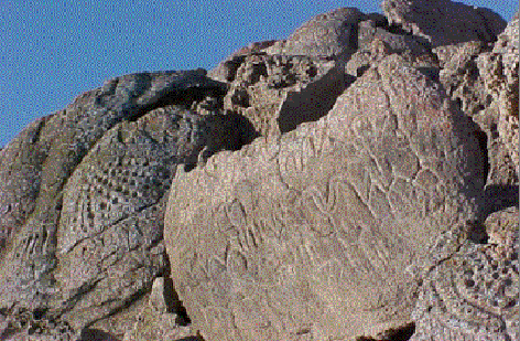 petroglifos1