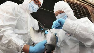 Gripe aviar A H7N9