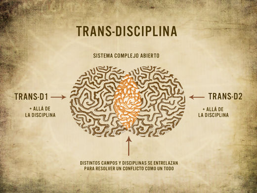 Transdisciplinaridad