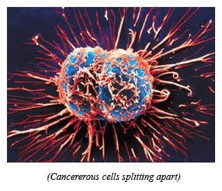 Célula cancerosa separandose