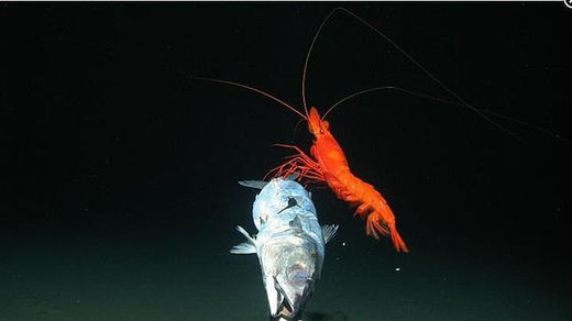 océano
