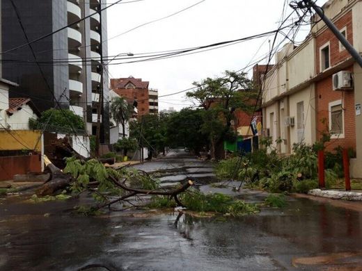 árboles caidos Asunción