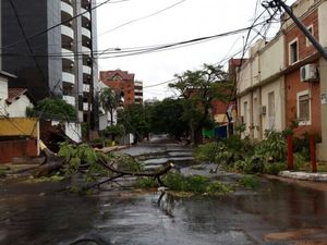 Clic para aumentar árboles caidos Asunción