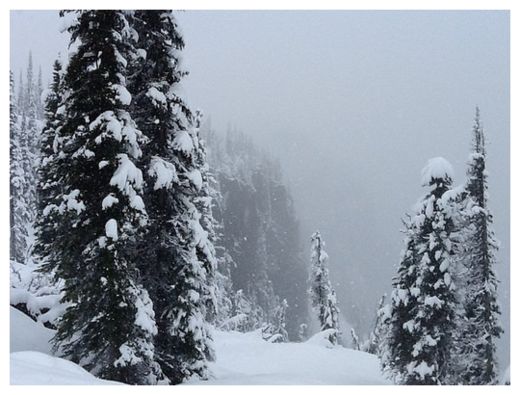 Snow storm in Summer!